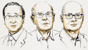 Kitagawa, Robson and Yaghi win 2025 Nobel Prize in Chemistry