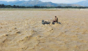 Heavy rains and floods kill 32 in Pakistan in two days
